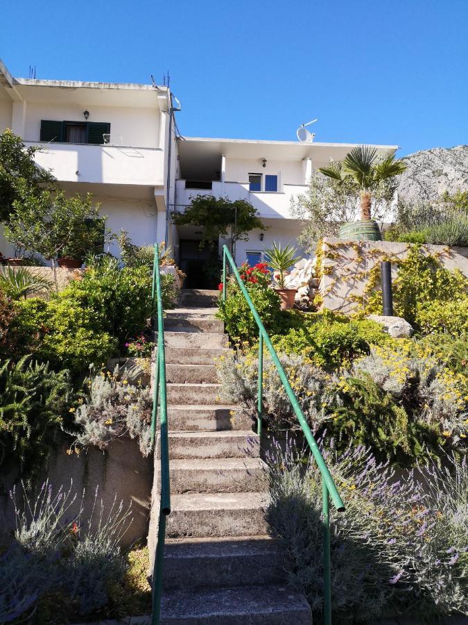 Apartman Mare Drvenik  Buitenkant foto